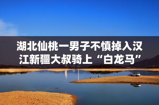 湖北仙桃一男子不慎掉入汉江新疆大叔骑上“白龙马”下水救人