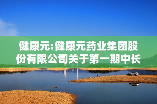 健康元:健康元药业集团股份有限公司关于第一期中长期事业合伙人持股计划存续期六个月后届满的提示性公告