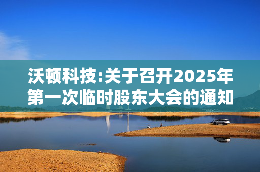 沃顿科技:关于召开2025年第一次临时股东大会的通知