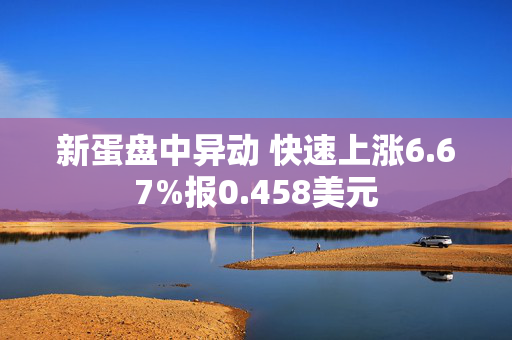 新蛋盘中异动 快速上涨6.67%报0.458美元