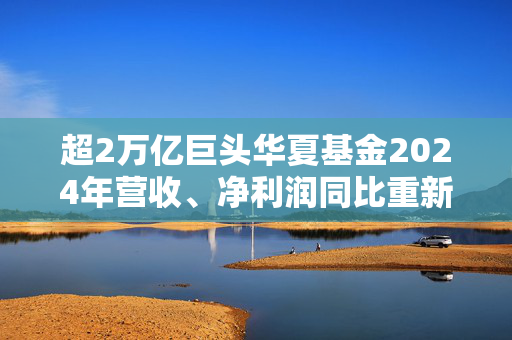 超2万亿巨头华夏基金2024年营收、净利润同比重新正增长