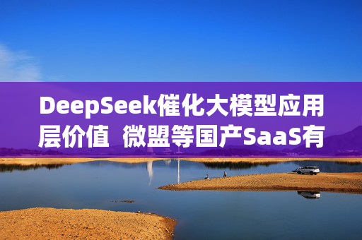 DeepSeek催化大模型应用层价值  微盟等国产SaaS有望率先获益