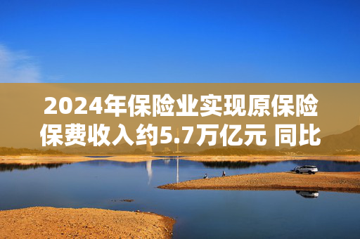 2024年保险业实现原保险保费收入约5.7万亿元 同比增长5.7%