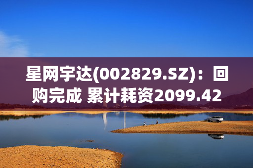 星网宇达(002829.SZ)：回购完成 累计耗资2099.42万元回购121.87万股