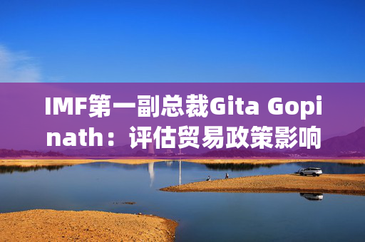 IMF第一副总裁Gita Gopinath：评估贸易政策影响仍为时尚早