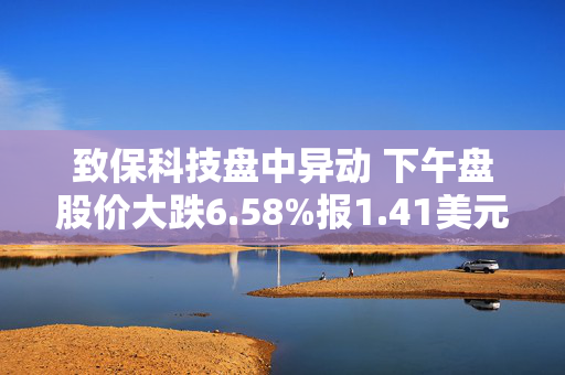 致保科技盘中异动 下午盘股价大跌6.58%报1.41美元