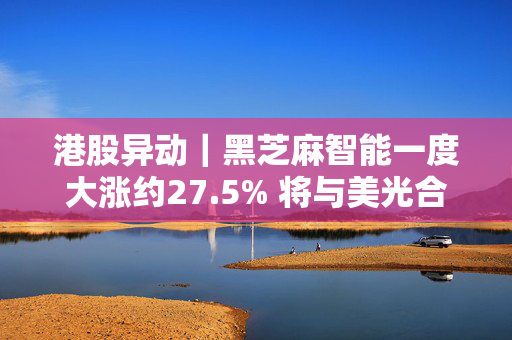 港股异动｜黑芝麻智能一度大涨约27.5% 将与美光合作推出新型ADAS