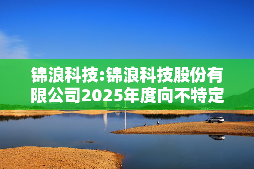 锦浪科技:锦浪科技股份有限公司2025年度向不特定对象发行可转换公司债券募集资金使用可行性分析报告