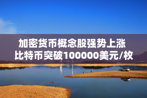 加密货币概念股强势上涨 比特币突破100000美元/枚