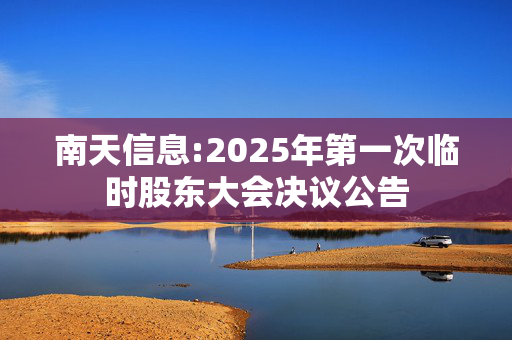 南天信息:2025年第一次临时股东大会决议公告