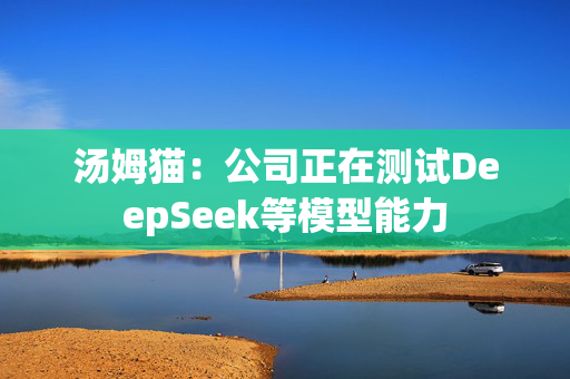 汤姆猫：公司正在测试DeepSeek等模型能力