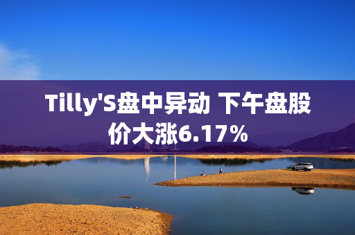 Tilly'S盘中异动 下午盘股价大涨6.17%