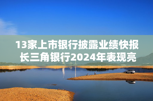 13家上市银行披露业绩快报 长三角银行2024年表现亮眼