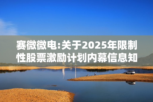 赛微微电:关于2025年限制性股票激励计划内幕信息知情人买卖公司股票情况的自查报告