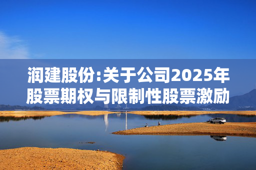 润建股份:关于公司2025年股票期权与限制性股票激励计划内幕信息知情人及激励对象买卖公司股票情况的自查报告