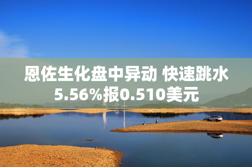 恩佐生化盘中异动 快速跳水5.56%报0.510美元