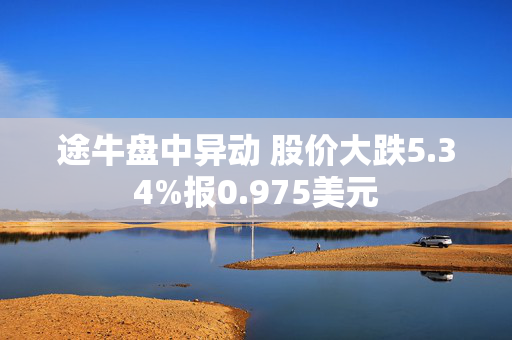 途牛盘中异动 股价大跌5.34%报0.975美元