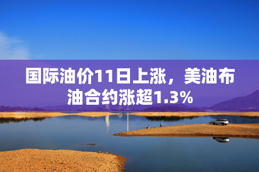 国际油价11日上涨，美油布油合约涨超1.3%