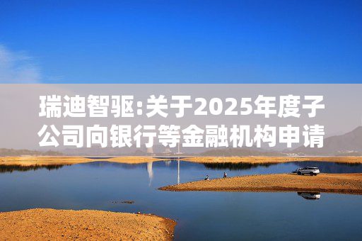 瑞迪智驱:关于2025年度子公司向银行等金融机构申请综合授信额度及公司提供担保并接受关联方担保的公告