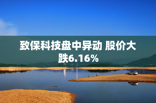 致保科技盘中异动 股价大跌6.16%