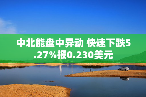 中北能盘中异动 快速下跌5.27%报0.230美元