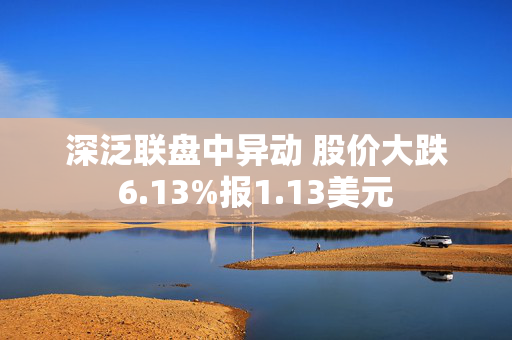 深泛联盘中异动 股价大跌6.13%报1.13美元