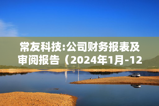 常友科技:公司财务报表及审阅报告（2024年1月-12月）