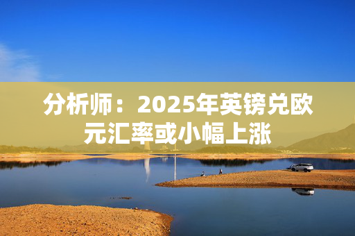 分析师：2025年英镑兑欧元汇率或小幅上涨