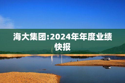 海大集团:2024年年度业绩快报