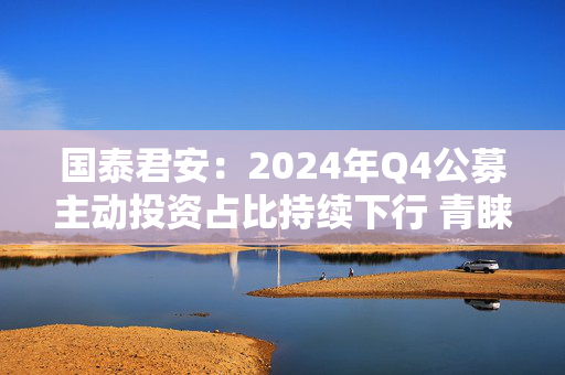 国泰君安：2024年Q4公募主动投资占比持续下行 青睐科技与港股