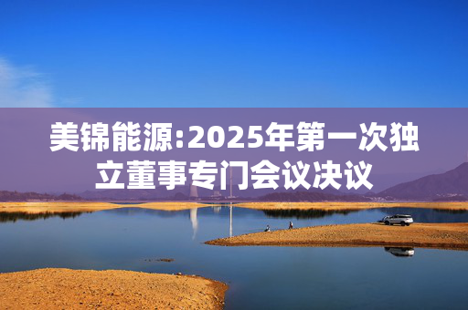 美锦能源:2025年第一次独立董事专门会议决议