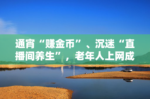 通宵“赚金币”、沉迷“直播间养生”，老年人上网成瘾何解？