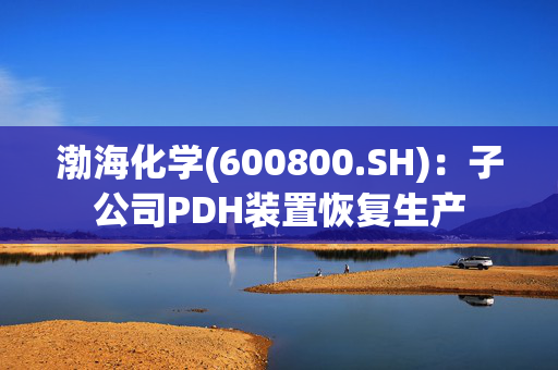 渤海化学(600800.SH)：子公司PDH装置恢复生产