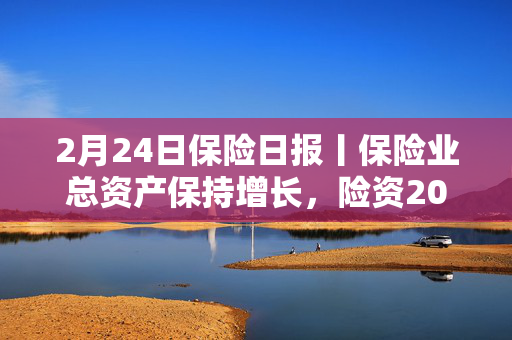 2月24日保险日报丨保险业总资产保持增长，险资2024年综合投资收益率超7%，险资举牌继续升温