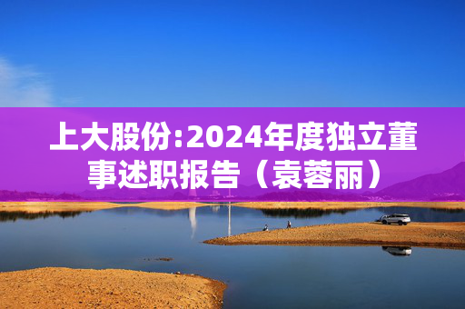 上大股份:2024年度独立董事述职报告（袁蓉丽）