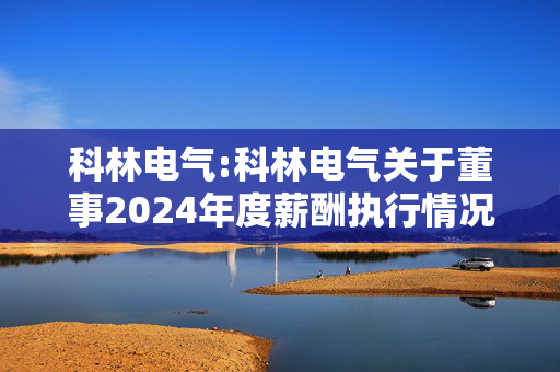 科林电气:科林电气关于董事2024年度薪酬执行情况及2025年度薪酬方案的公告