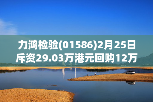 力鸿检验(01586)2月25日斥资29.03万港元回购12万股