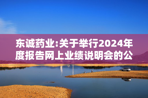 东诚药业:关于举行2024年度报告网上业绩说明会的公告