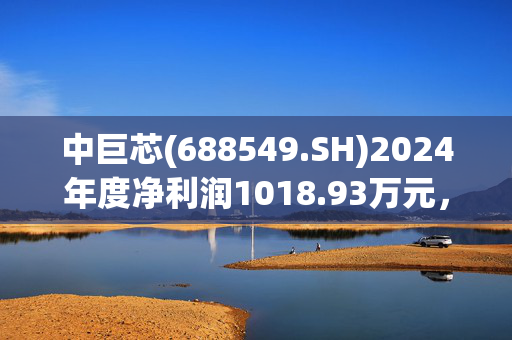 中巨芯(688549.SH)2024年度净利润1018.93万元，同比下降25.6%