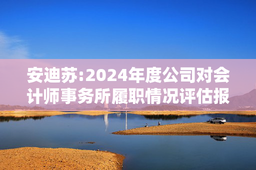 安迪苏:2024年度公司对会计师事务所履职情况评估报告