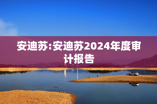 安迪苏:安迪苏2024年度审计报告