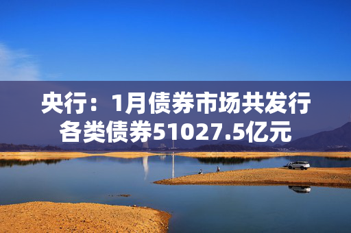 央行：1月债券市场共发行各类债券51027.5亿元