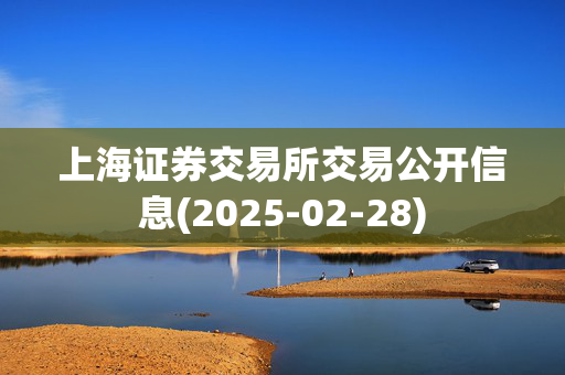 上海证券交易所交易公开信息(2025-02-28)