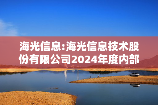 海光信息:海光信息技术股份有限公司2024年度内部控制审计报告