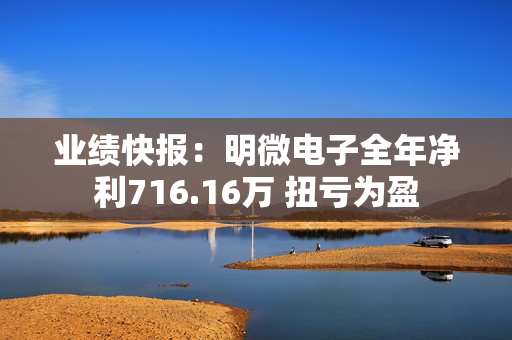 业绩快报：明微电子全年净利716.16万 扭亏为盈