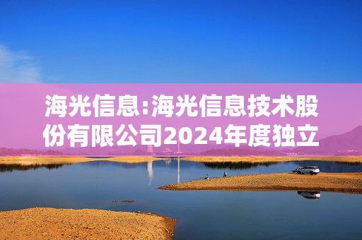 海光信息:海光信息技术股份有限公司2024年度独立董事述职报告（徐艳梅）