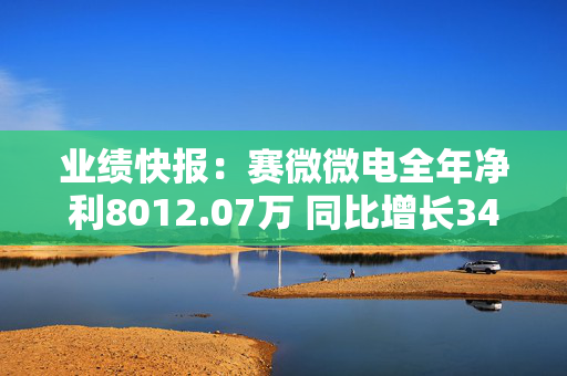 业绩快报：赛微微电全年净利8012.07万 同比增长34.04%