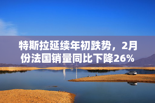 特斯拉延续年初跌势，2月份法国销量同比下降26%