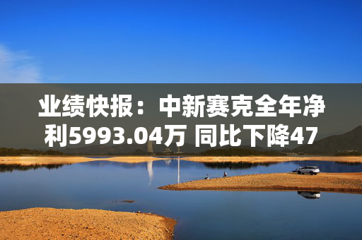 业绩快报：中新赛克全年净利5993.04万 同比下降47.54%