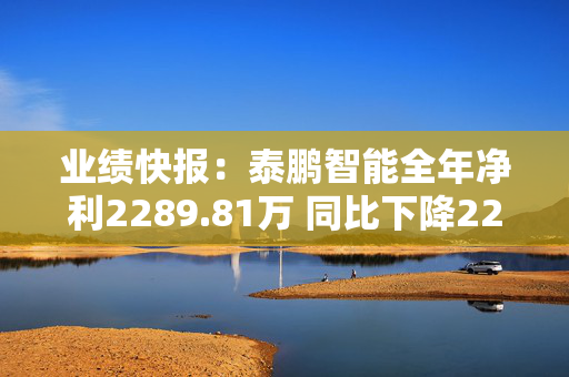 业绩快报：泰鹏智能全年净利2289.81万 同比下降22.59%